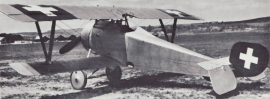 Nieuport 21 of the Swiss Air Force, a sister aircraft (no. 601) to the one in which Oskar Bider met his end.